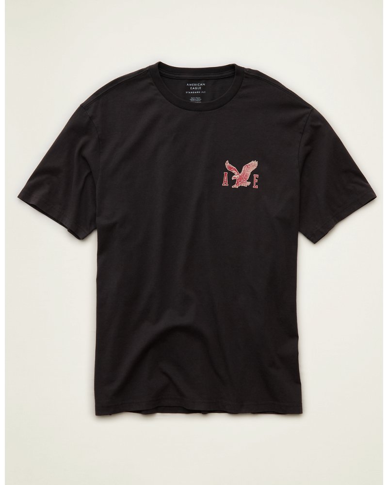 AE Standard Fit Graphic Logo T-Shirt