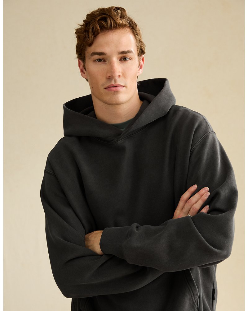 AE Laidback Luxe Heavyweight Hoodie
