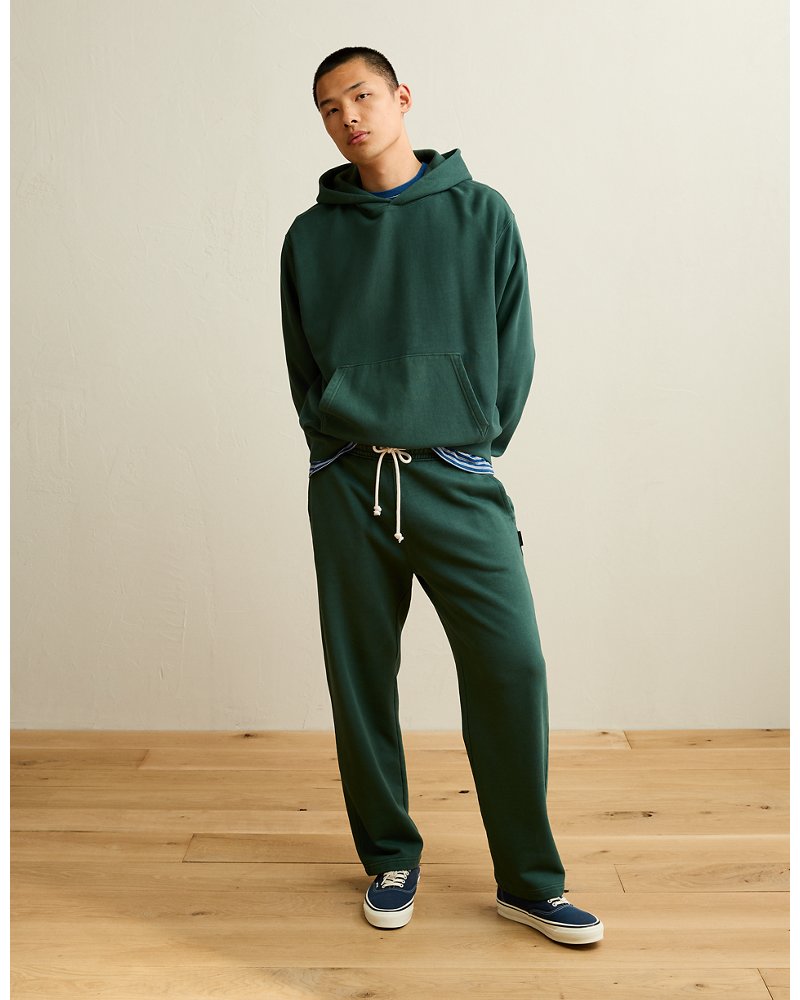 AE Laidback Luxe Heavyweight Hoodie