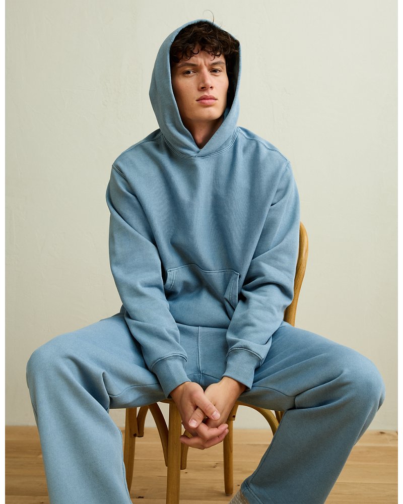 AE Laidback Luxe Heavyweight Hoodie