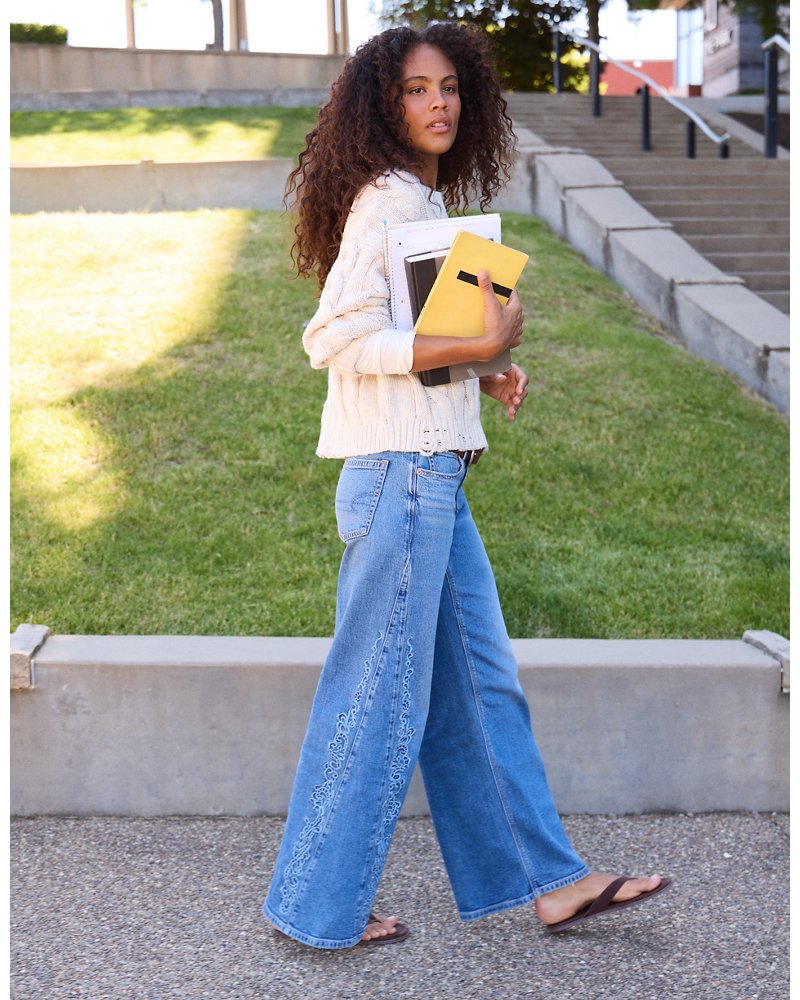 AE Low-Rise Baggy Ultra-Wide Leg Jean