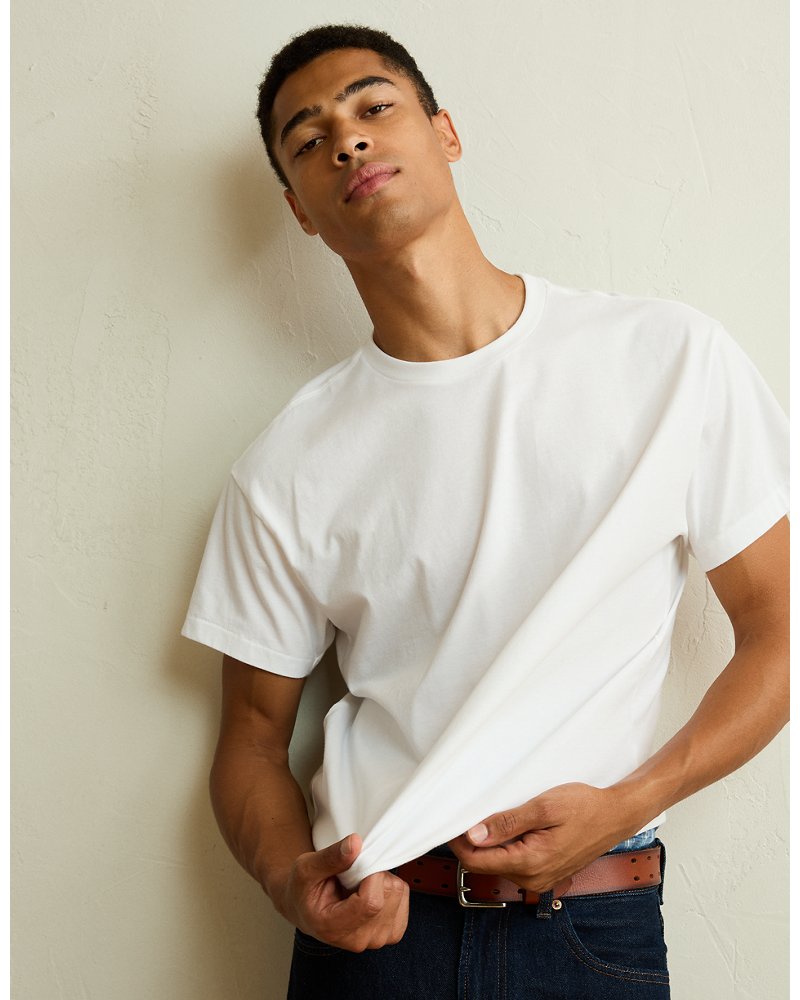 AE Shrunken Fit Lived-In T-Shirt