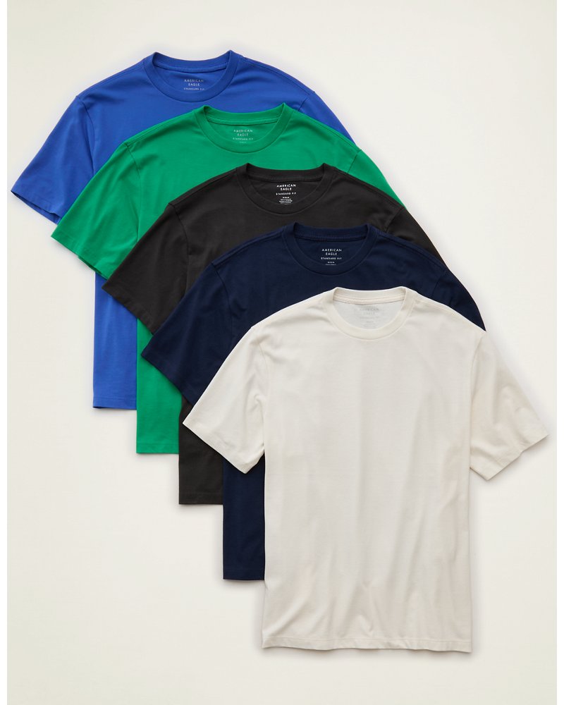 AE Standard Fit Lived-In T-Shirt 5-Pack