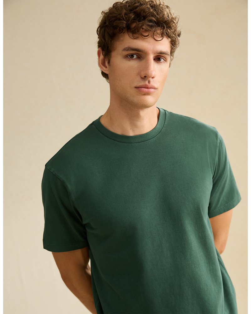 AE Standard Fit Lived-In T-Shirt