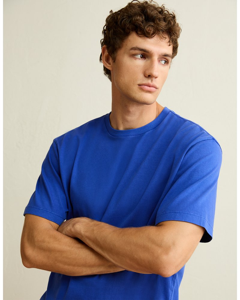AE Standard Fit Lived-In T-Shirt