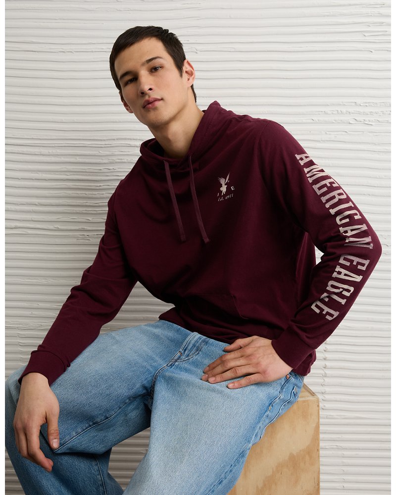 AE Standard Fit Lightweight Logo Graphic Hoodie T-Shirt