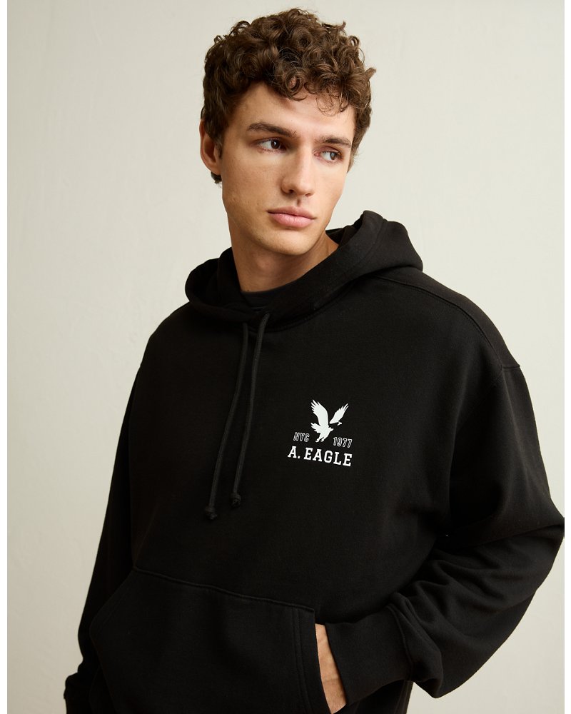 AE Lightweight Logo Fleece Hoodie