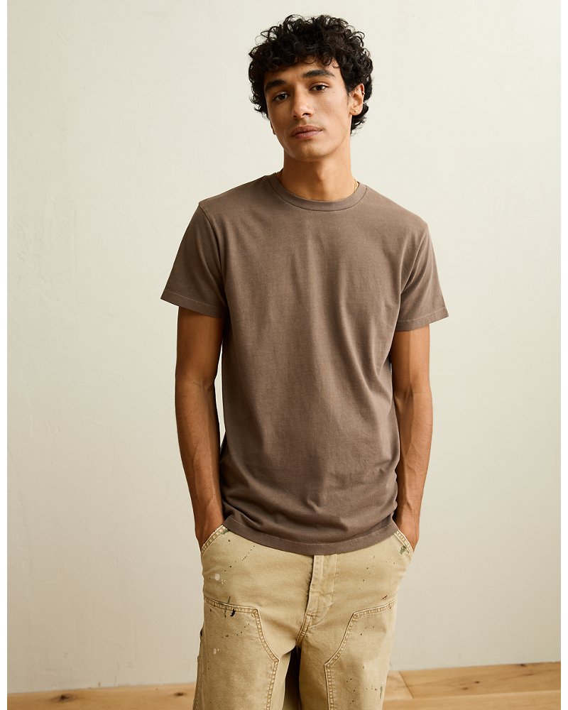 AE Slim Fit Lived-In T-Shirt